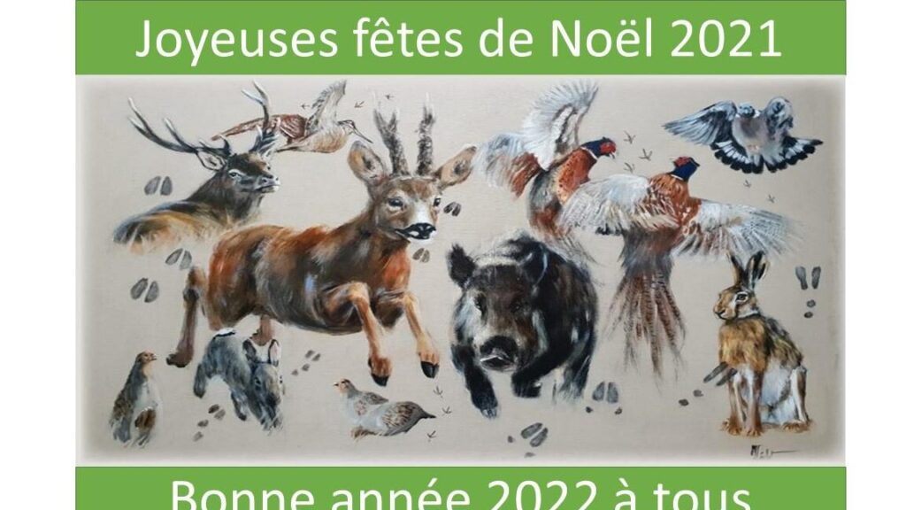 Le brame du cerf: spectacle naturel ou trouble pour les résidents locaux ?